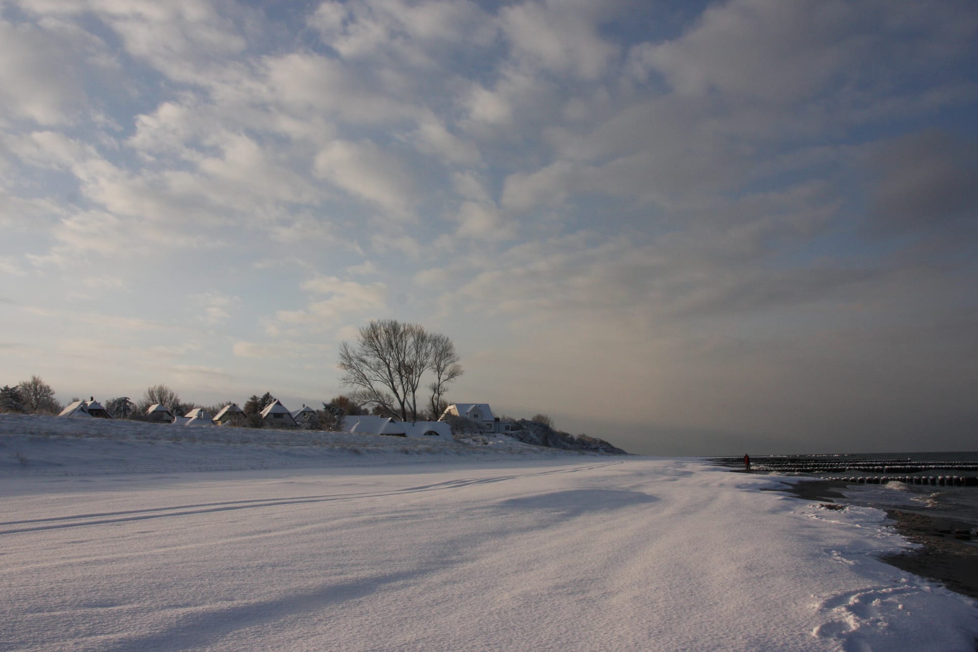 Ein verschneiter Strand mit Häusern, Bäumen und dem Meer unter einem bewölkten Winterhimmel.