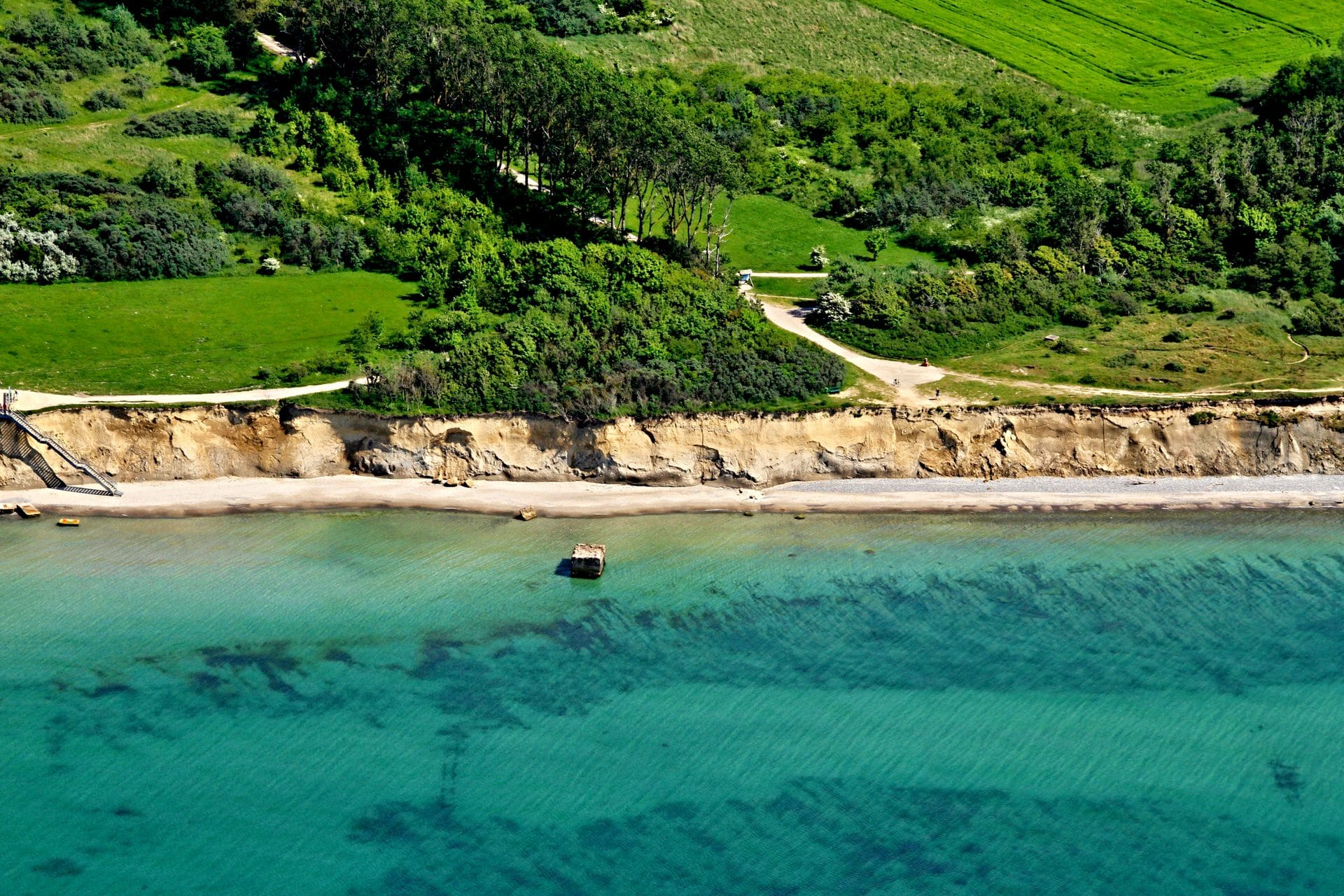 Luftaufnahme: das blaue Meer, die Steilküste am Ufer, Felder, Bäume und einige Büsche.