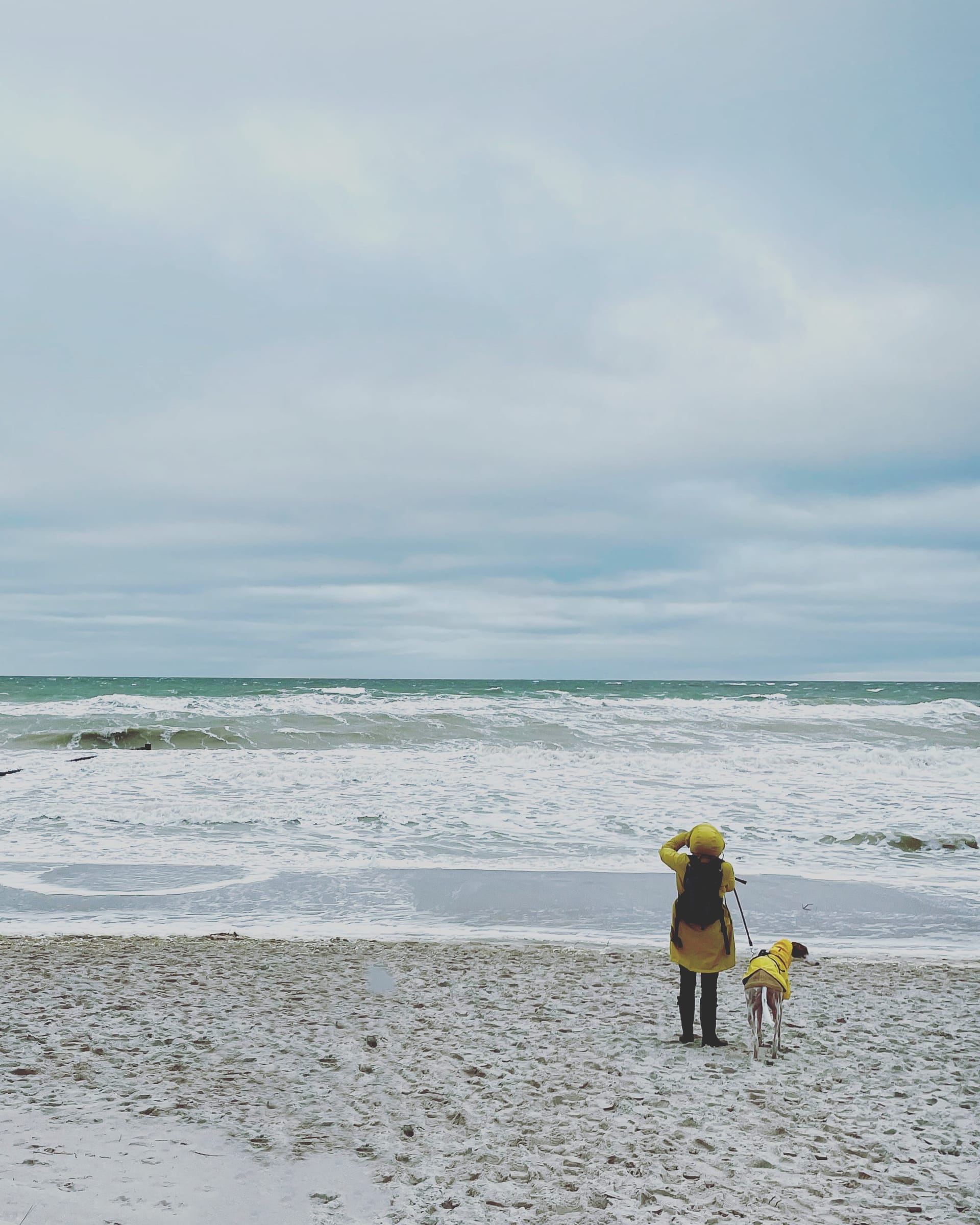 Eine Person steht am Strand mit ihrem Hund. Sie trägt einen gelben Rucksack, und der Hund hat ein gelbes Outfit. Beide blicken auf das Meer. Der Himmel ist bewölkt und die Wellen bewegen sich auf den Strand zu.