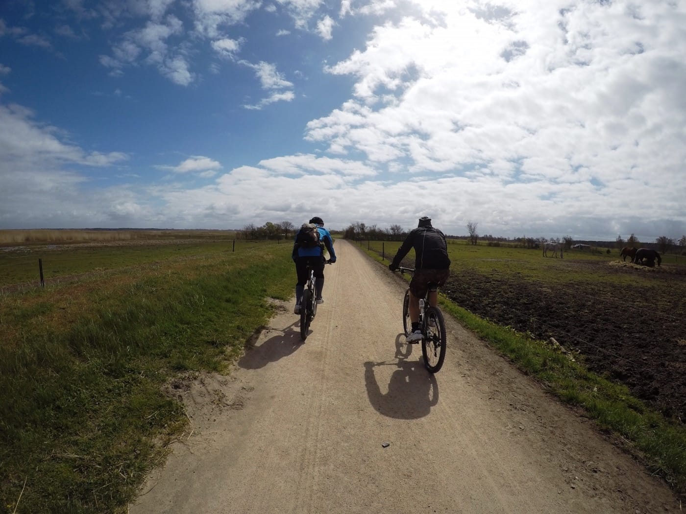 Zwei Personen fahren mit Fahrrädern auf einem Weg zwischen Feldern. Links stehen Pferde. Blauer Himmel mit ein paar Wolken.