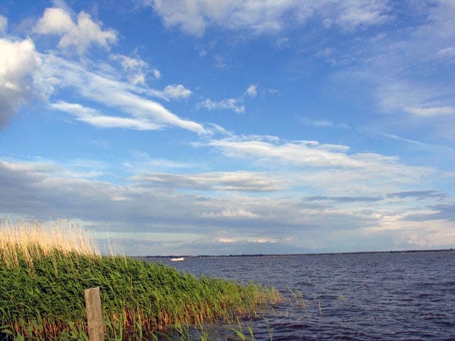 Blick aufs Wasser, links hohes Gras, bewölkter Himmel.