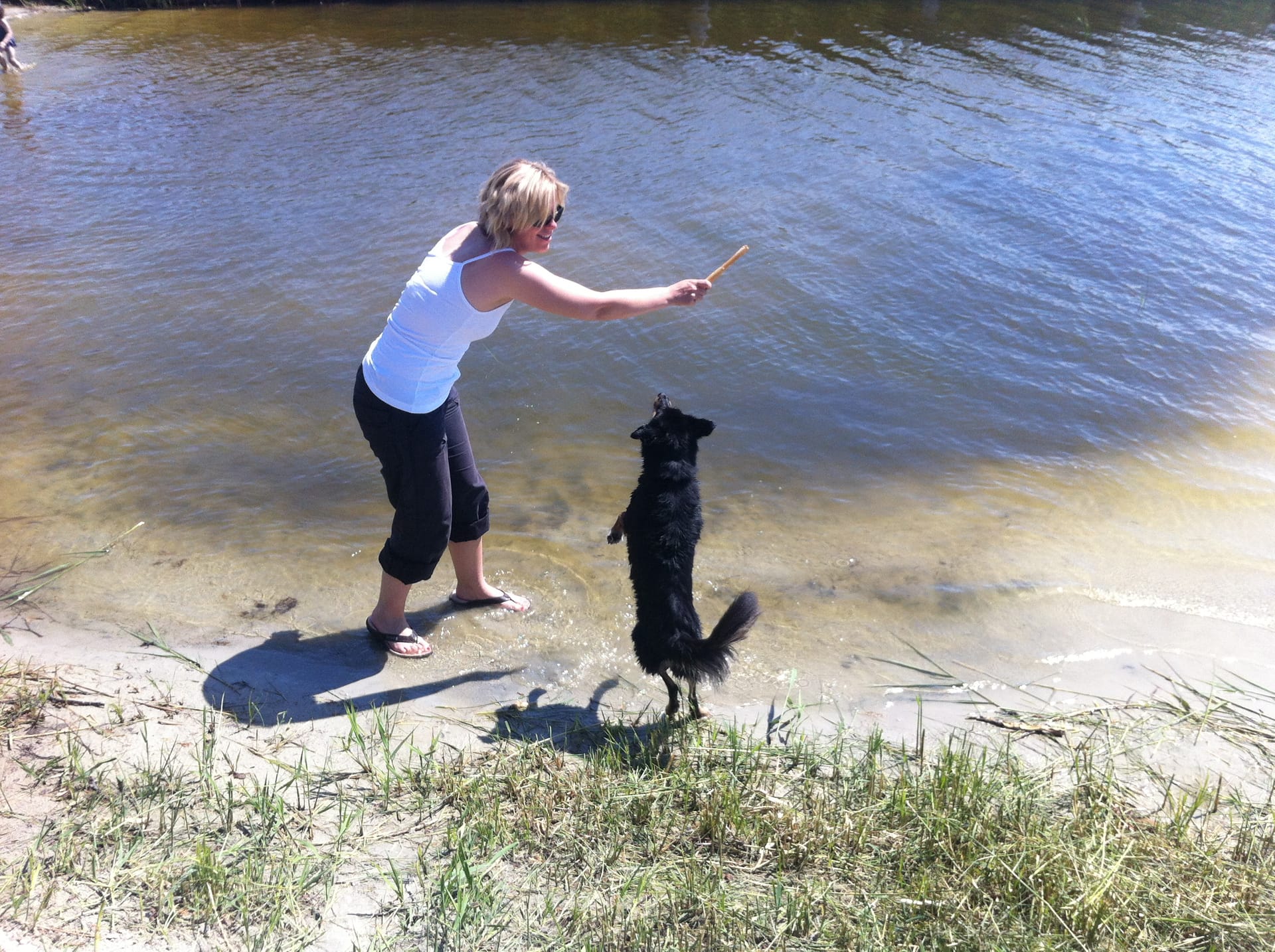 Eine Frau wirft einen Stock ins Wasser für den Hund.