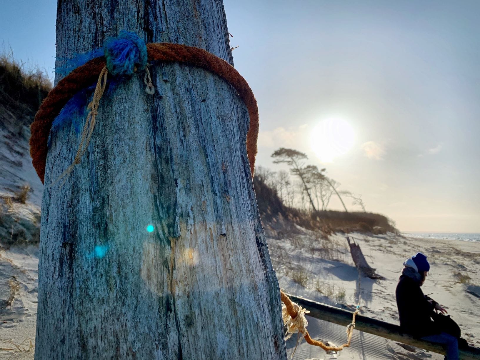 Der Strand ist bewölkt, eine warm gekleidete Person sitzt auf einem umgestürzten Baum.