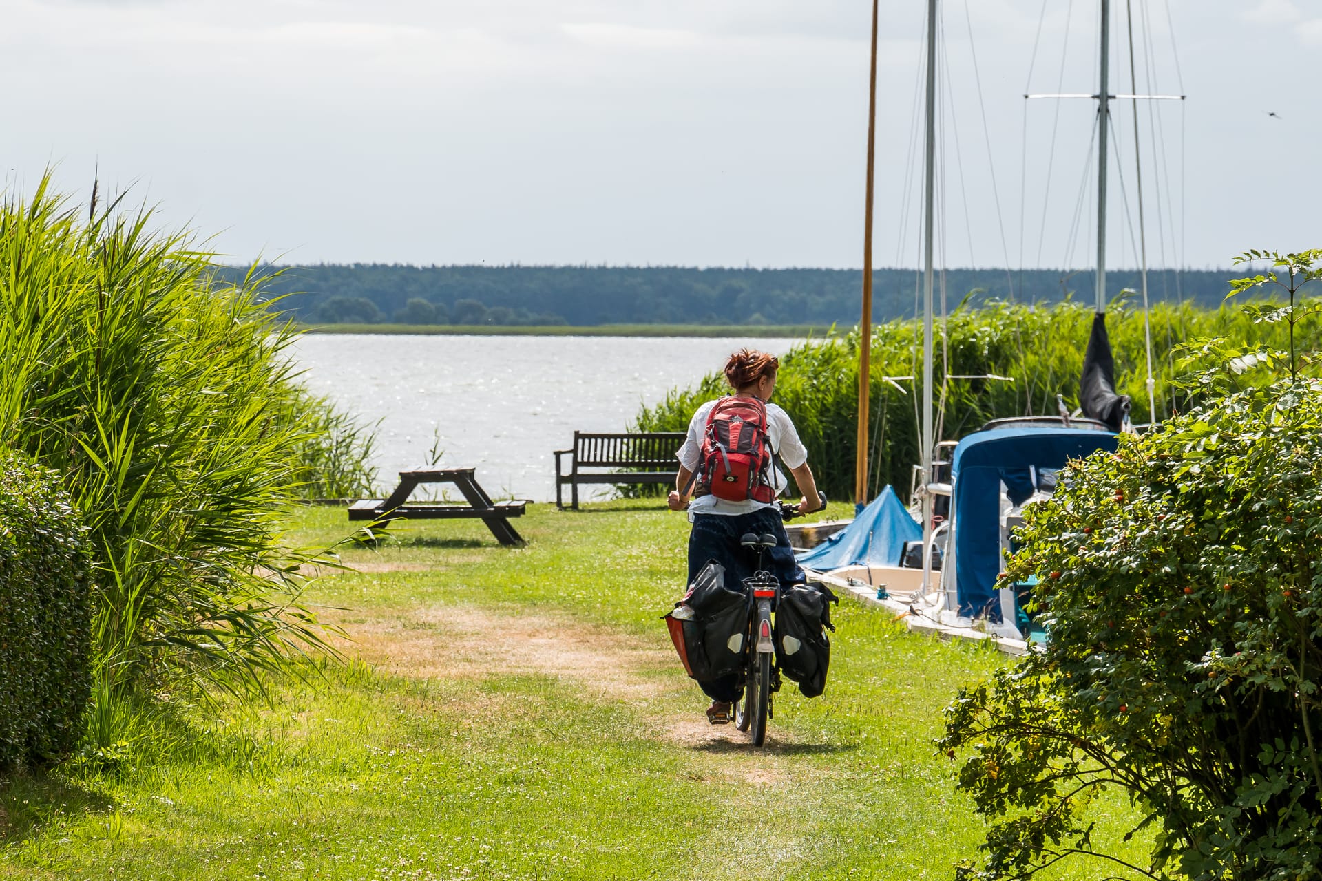 Radfahrer mit Gepäck am Boddenufer zwischen Schilf und Segelbooten