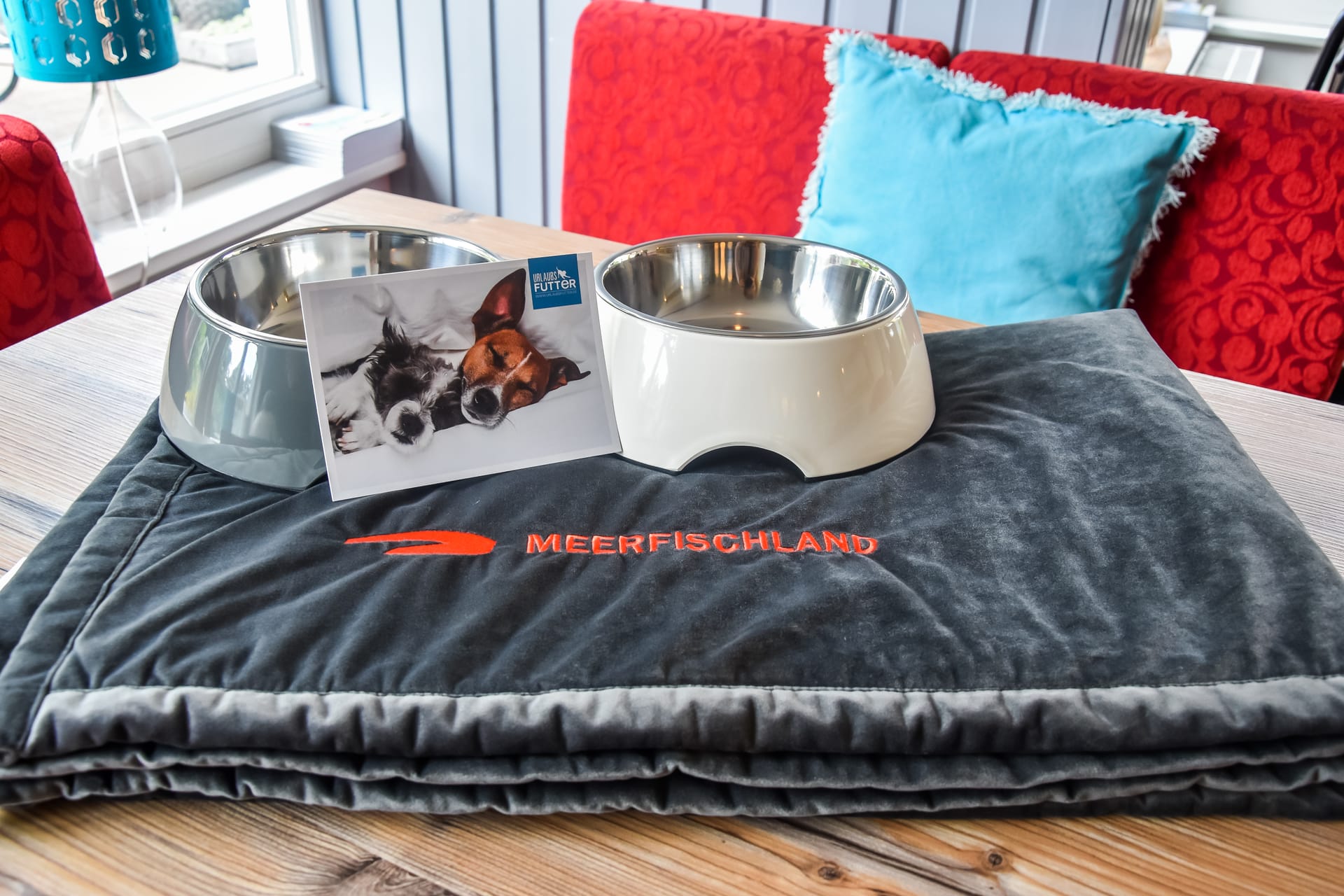 Hundepaket mit Decke und Näpfen von Meerfischland im Ferienhaus