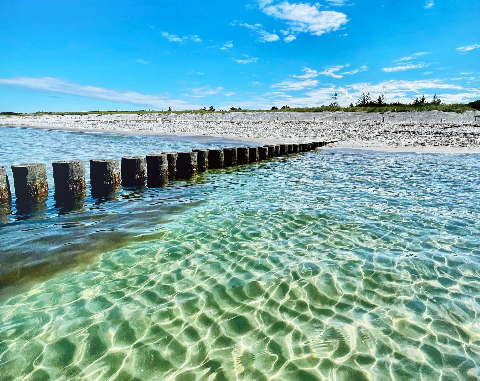 Klares Ostseewasser mit Buhnen, hellem Sandstrand und blauem Himmel.
