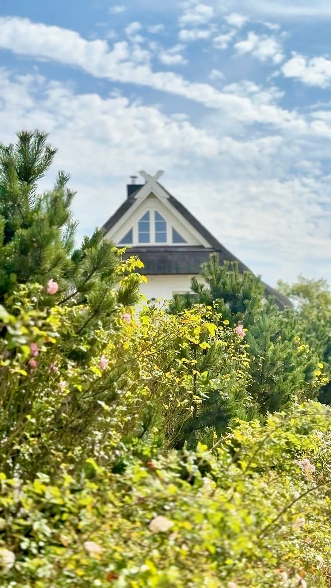 Reetdachhaus im Grünen unter weitem Sommerhimmel