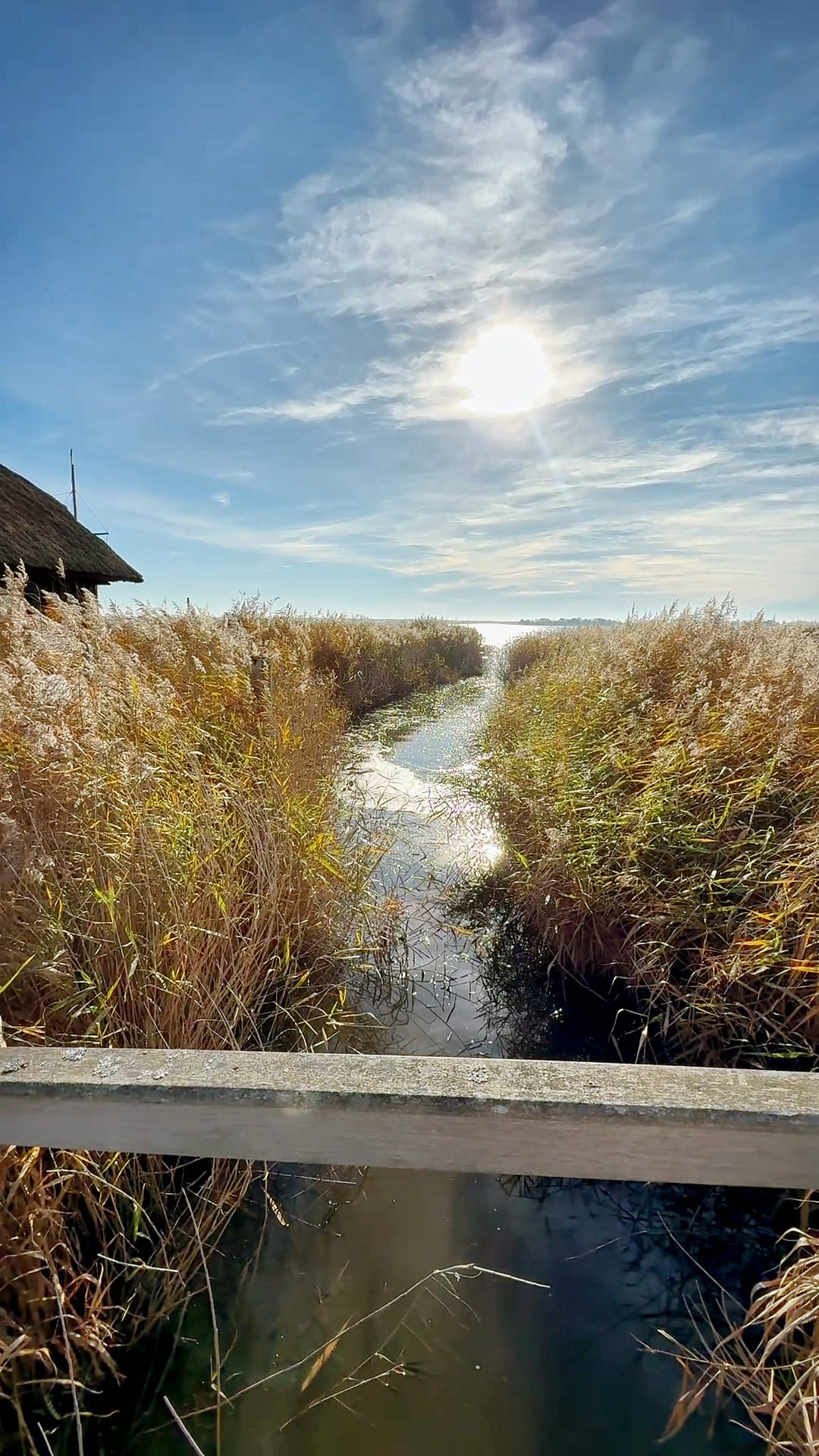 Schmaler Wasserlauf durch Schilf unter blauem Himmel am Bodden