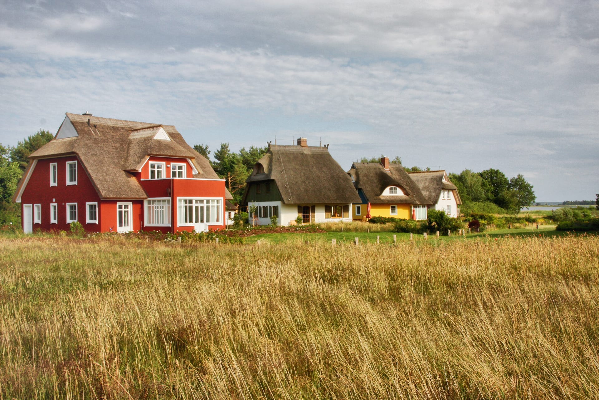 Reetgedeckte Häuser in Fischlandtypischer Architektur inmitten weiter Wiesen