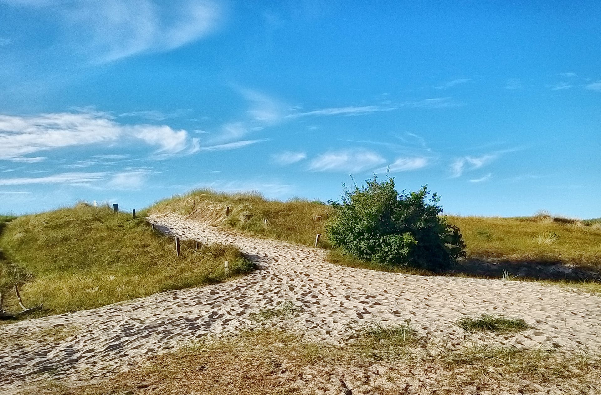 Dünenweg zur Ostsee unter blauem Himmel