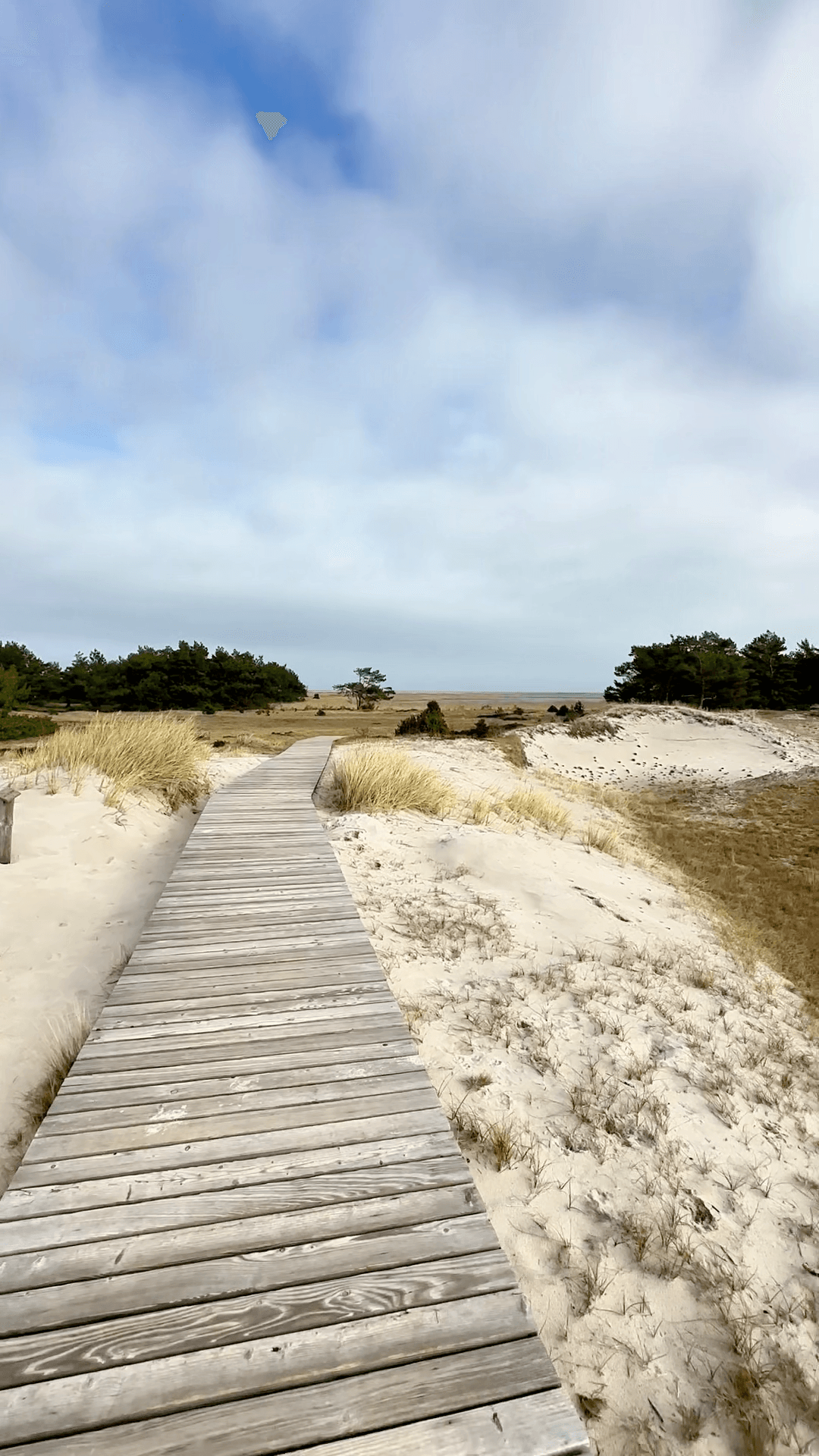 Holzbohlenweg führt durch helle Sanddünen und Graslandschaft unter leicht bewölktem Himmel.
