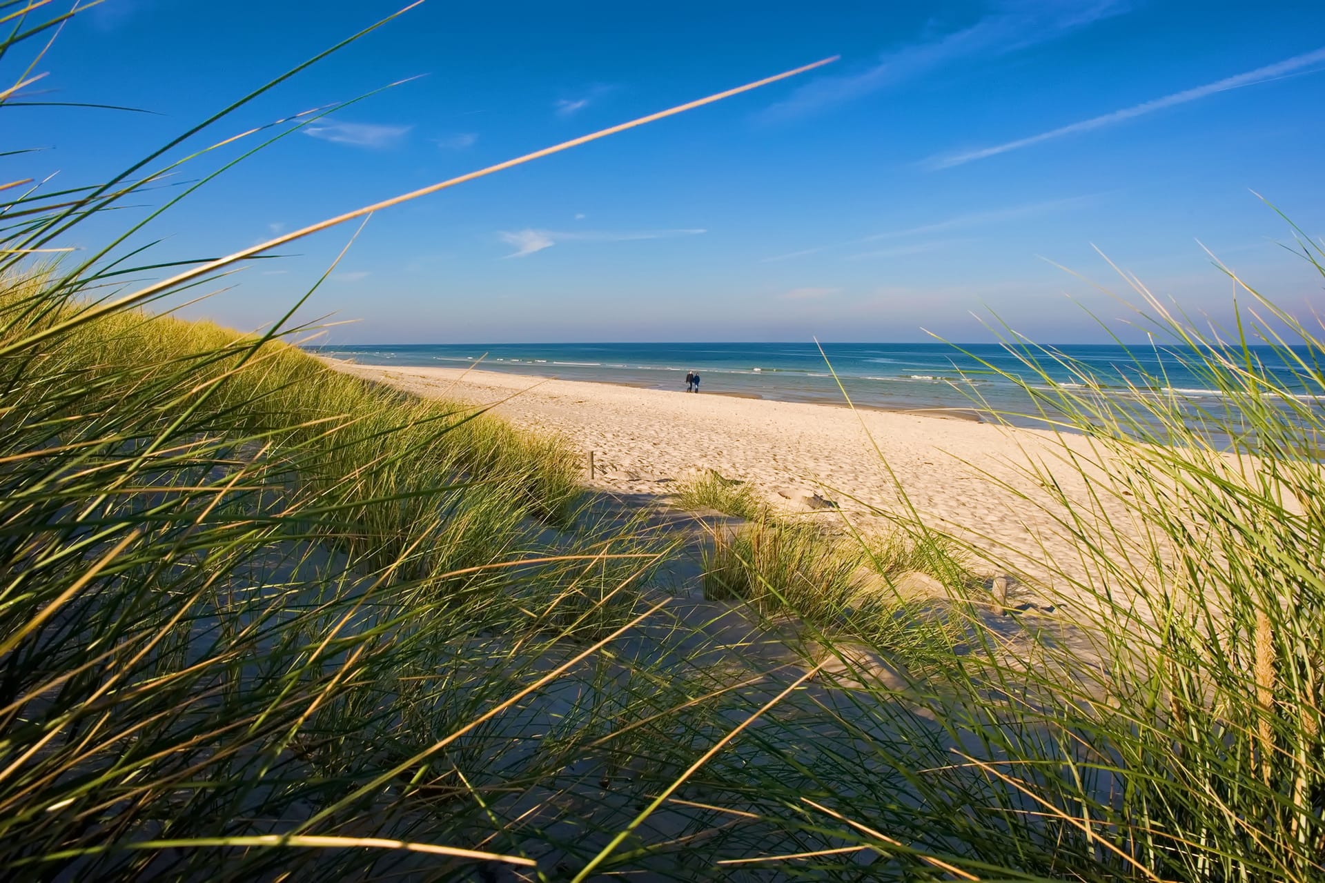 Sandstrand mit Dünen und Blick auf die Ostsee