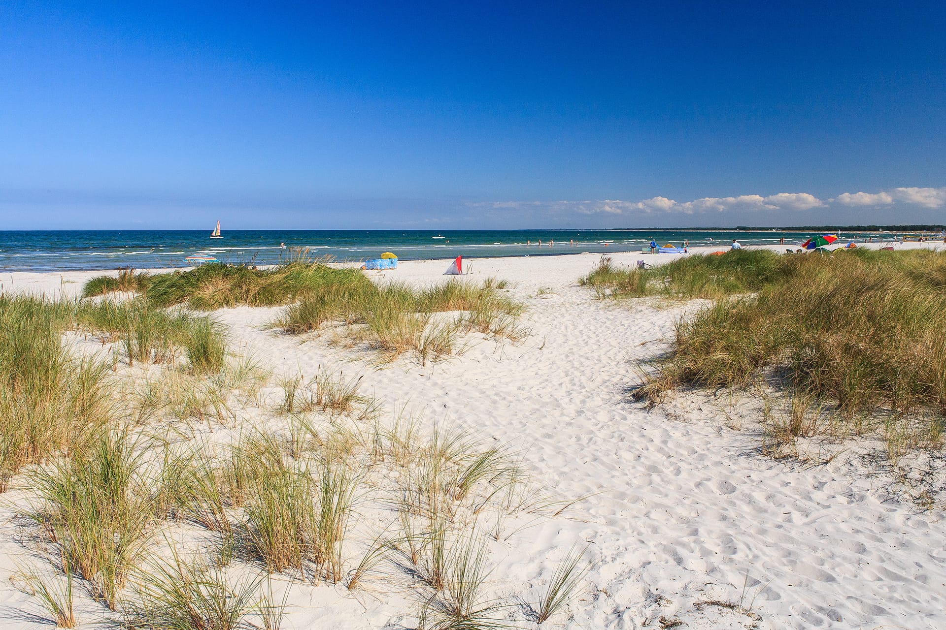Sandiger Dünenweg führt durch Strandhafer zum breiten Ostseestrand bei Prerow.