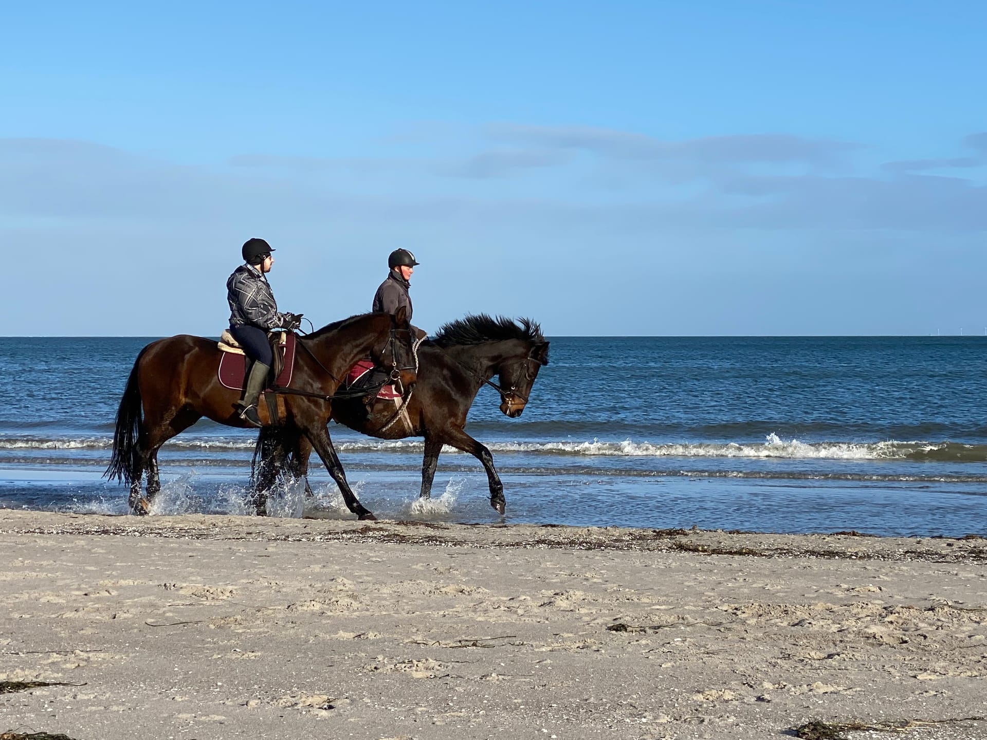 Zwei Reiter reiten am Strand entlang
