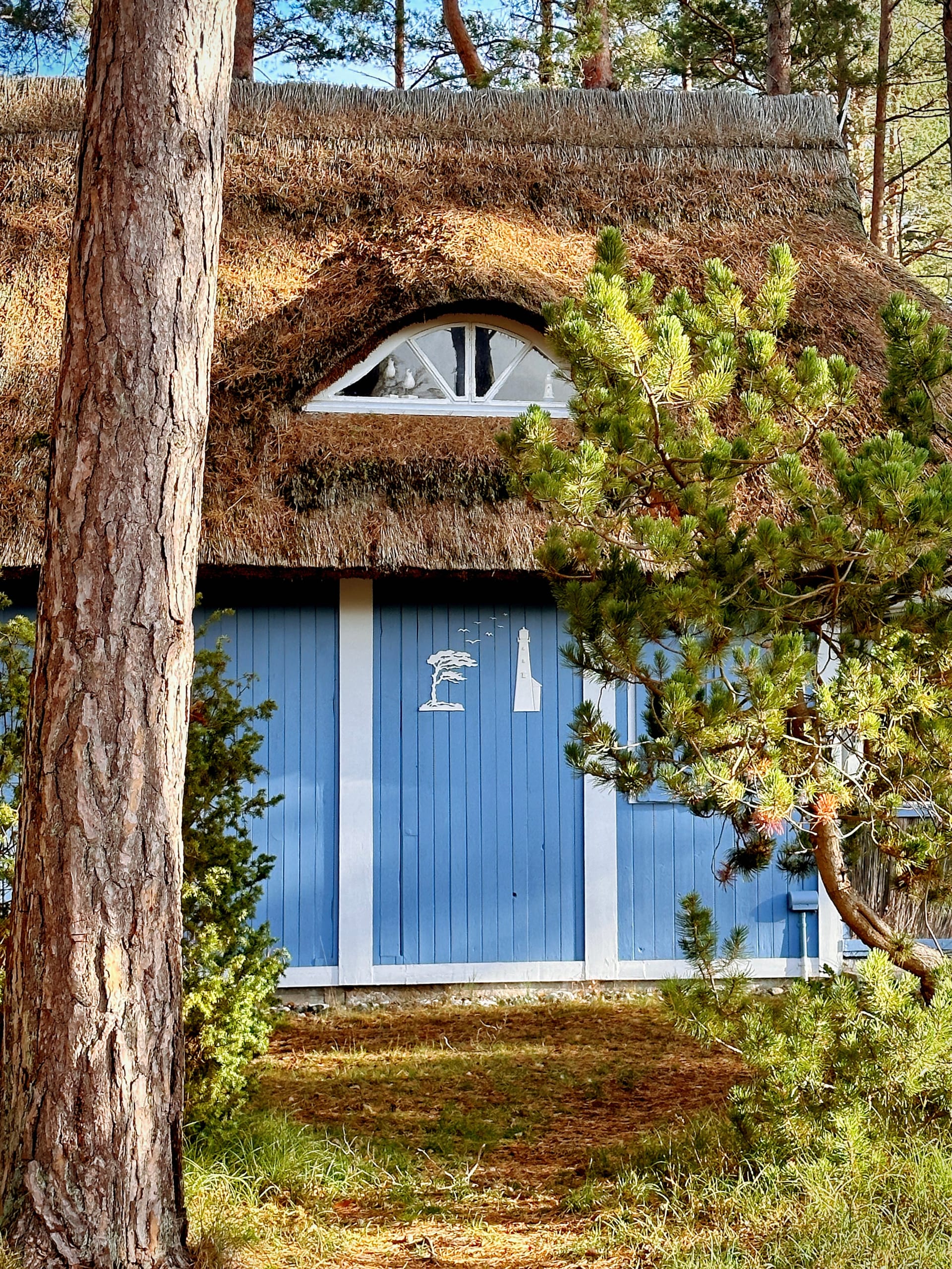 Blaues maritimes Reetdachhaus im Kiefernwald