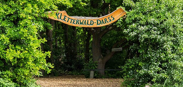 Eingang zum Kletterwald Darß im grünen Waldgebiet