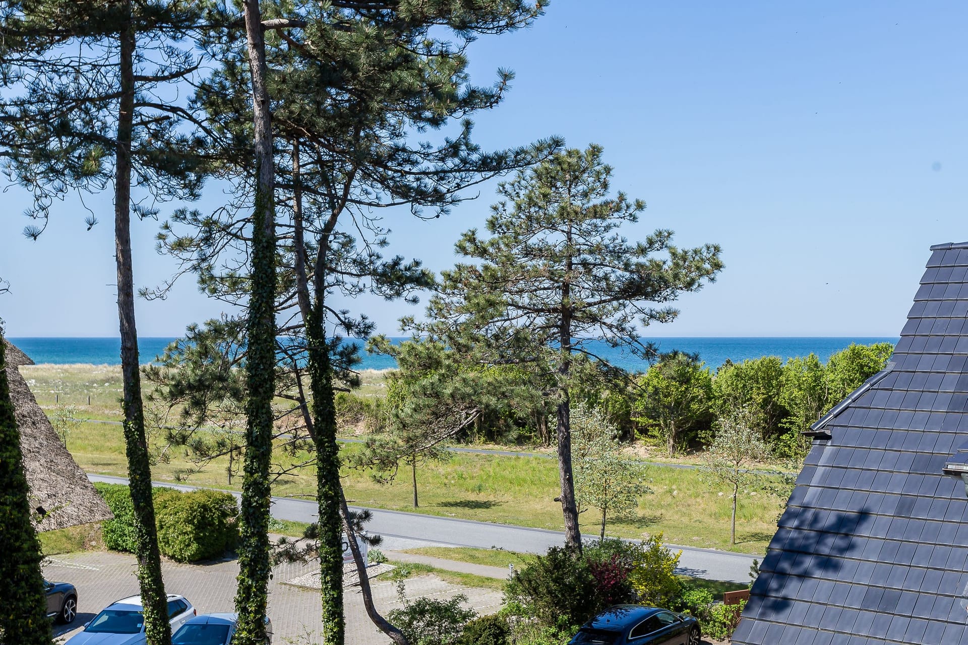 Blick auf den Strand durch Bäume