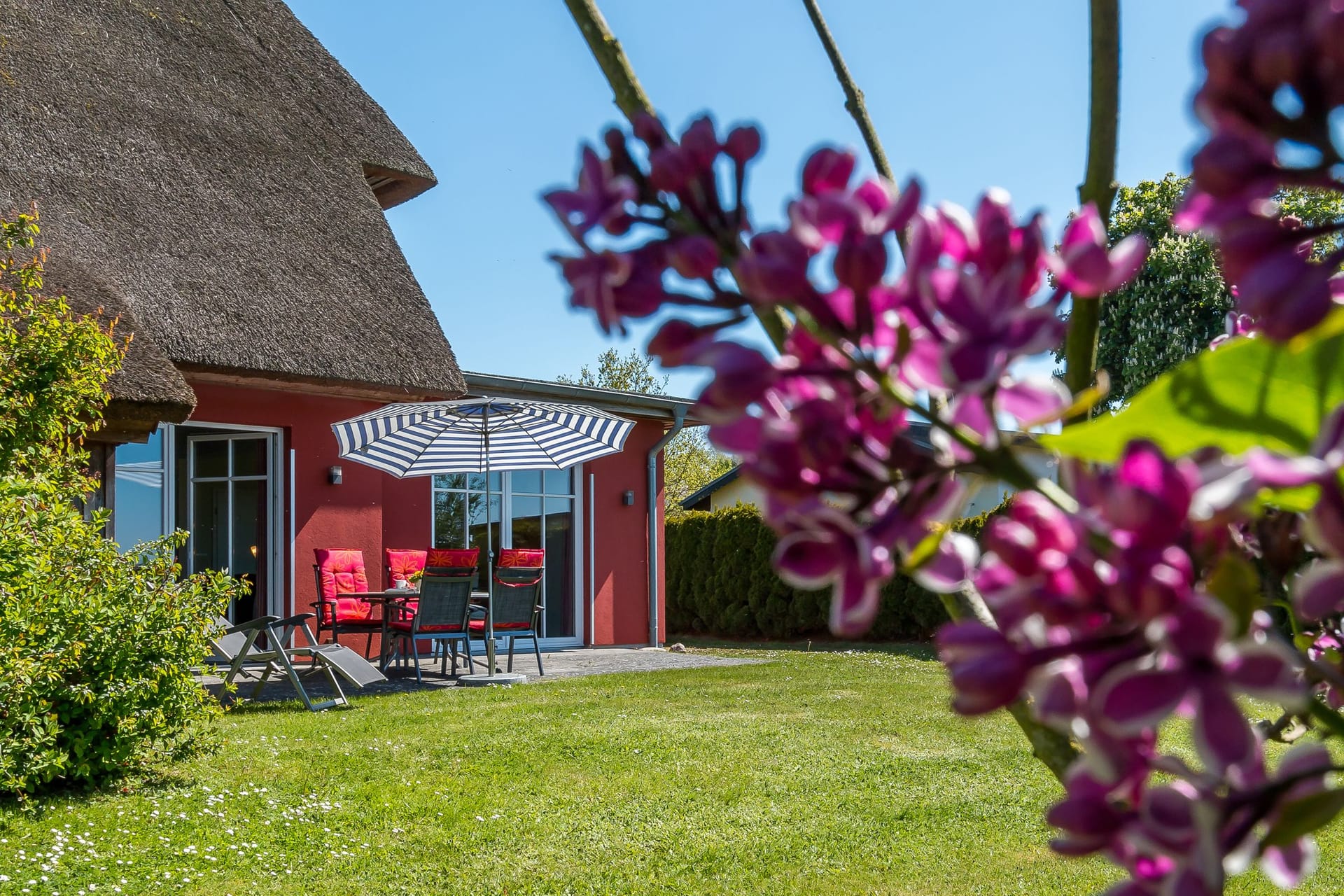 Terrasse mit Möbeln und Blick in den Garten