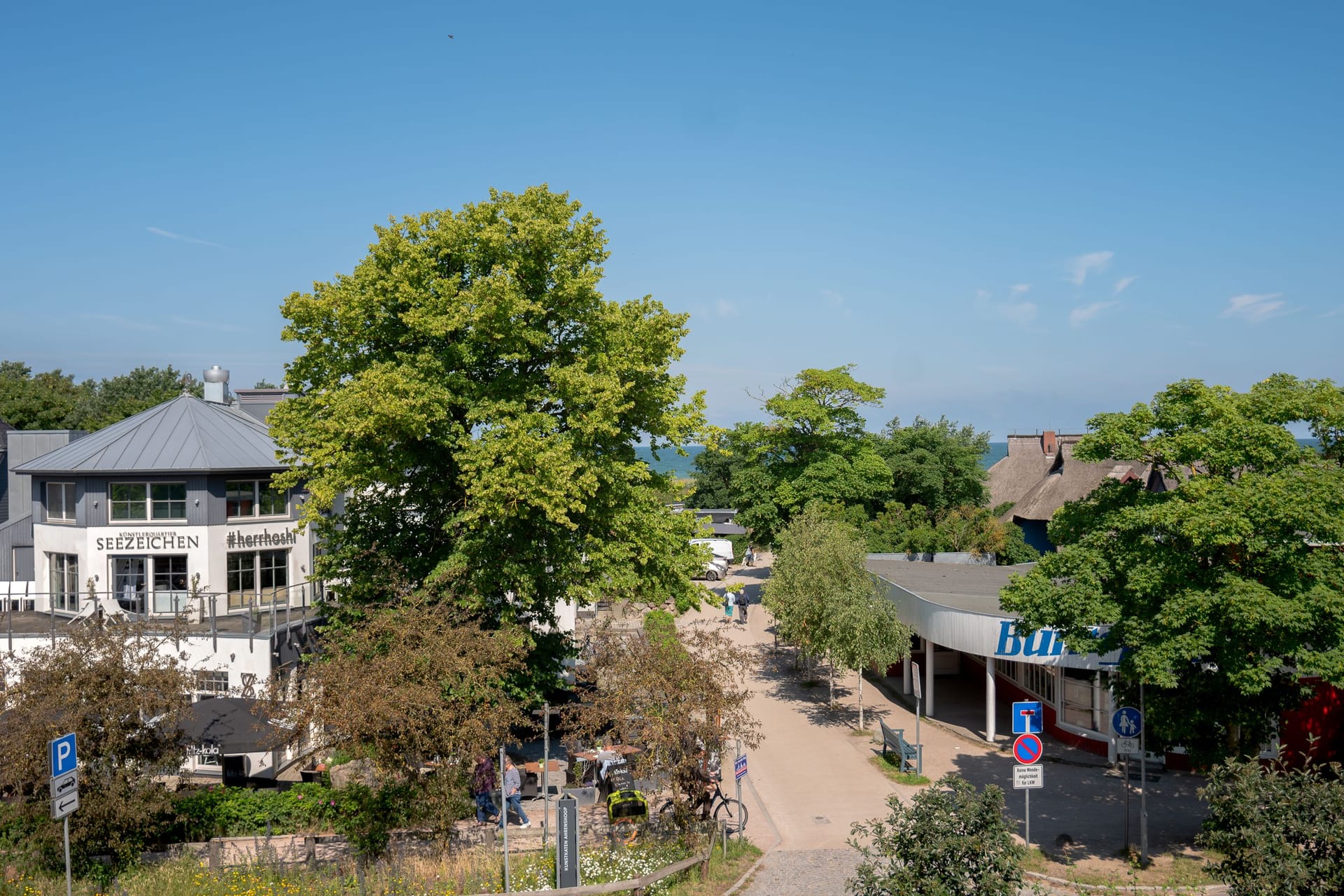 Luftaufnahme einer Straße mit Bäumen