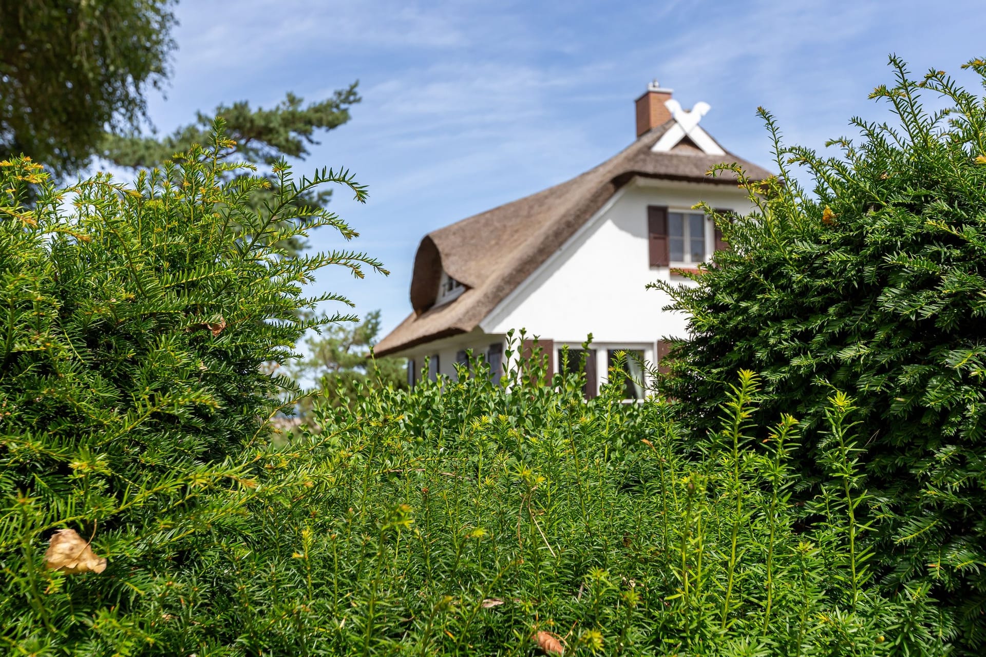 Haus im Freien mit natürlicher Umgebung