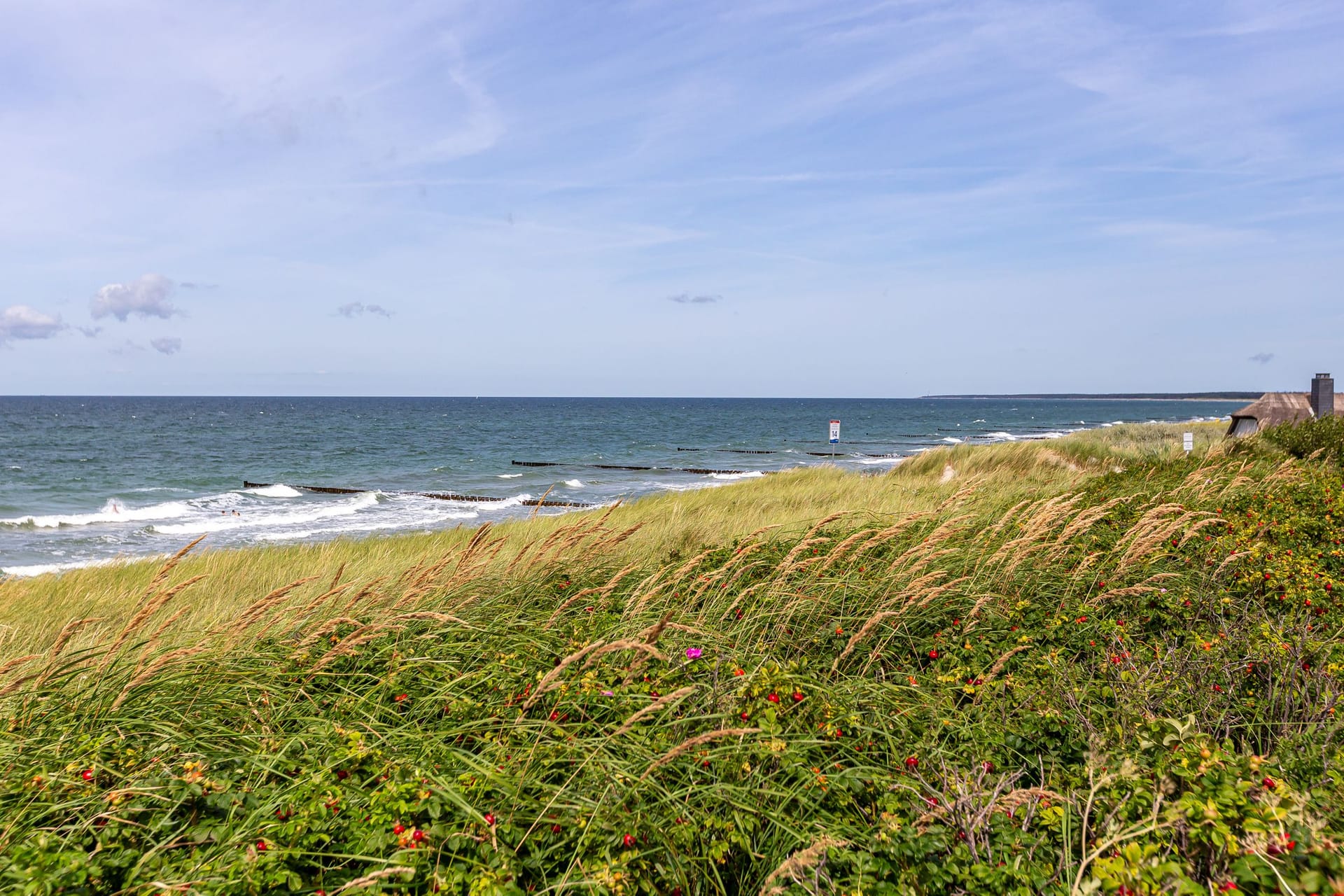 Strandansicht mit hohem Gras