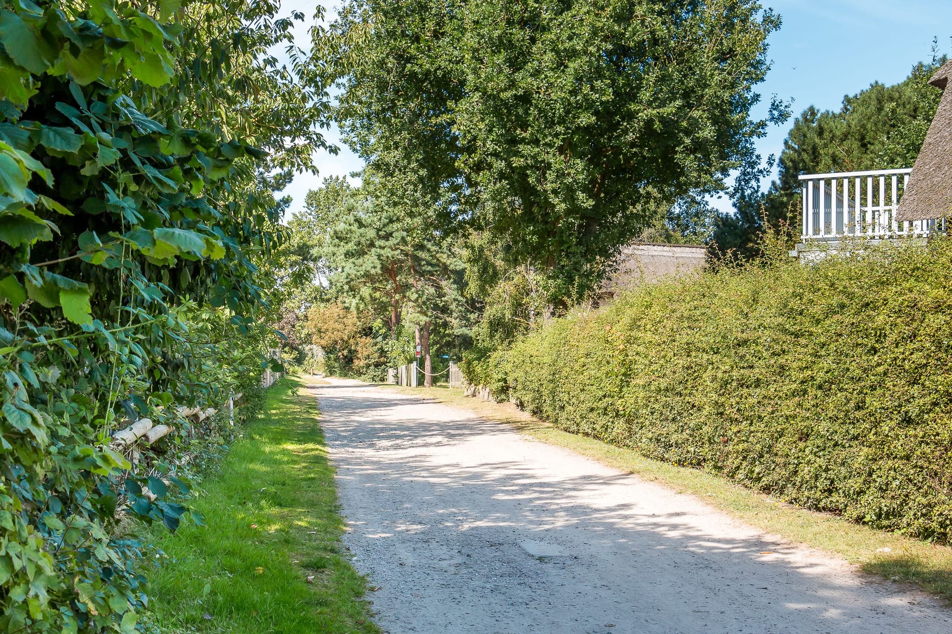 Landschaftlicher Weg im Grünen
