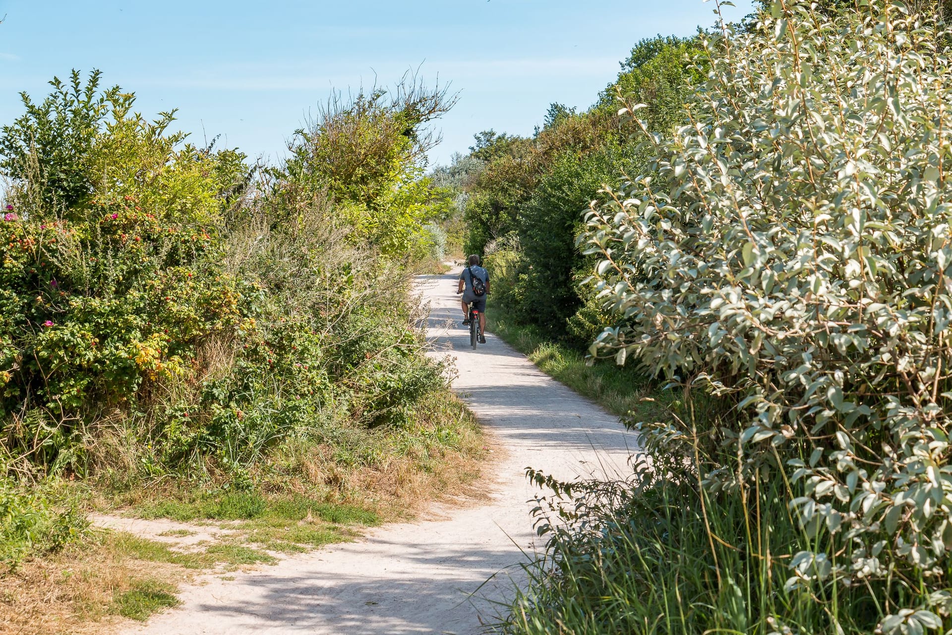 Wanderweg mit Radfahrer in ländlicher Umgebung