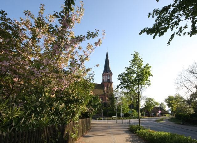 Strassenansicht mit Kirche und blühenden Bäumen
