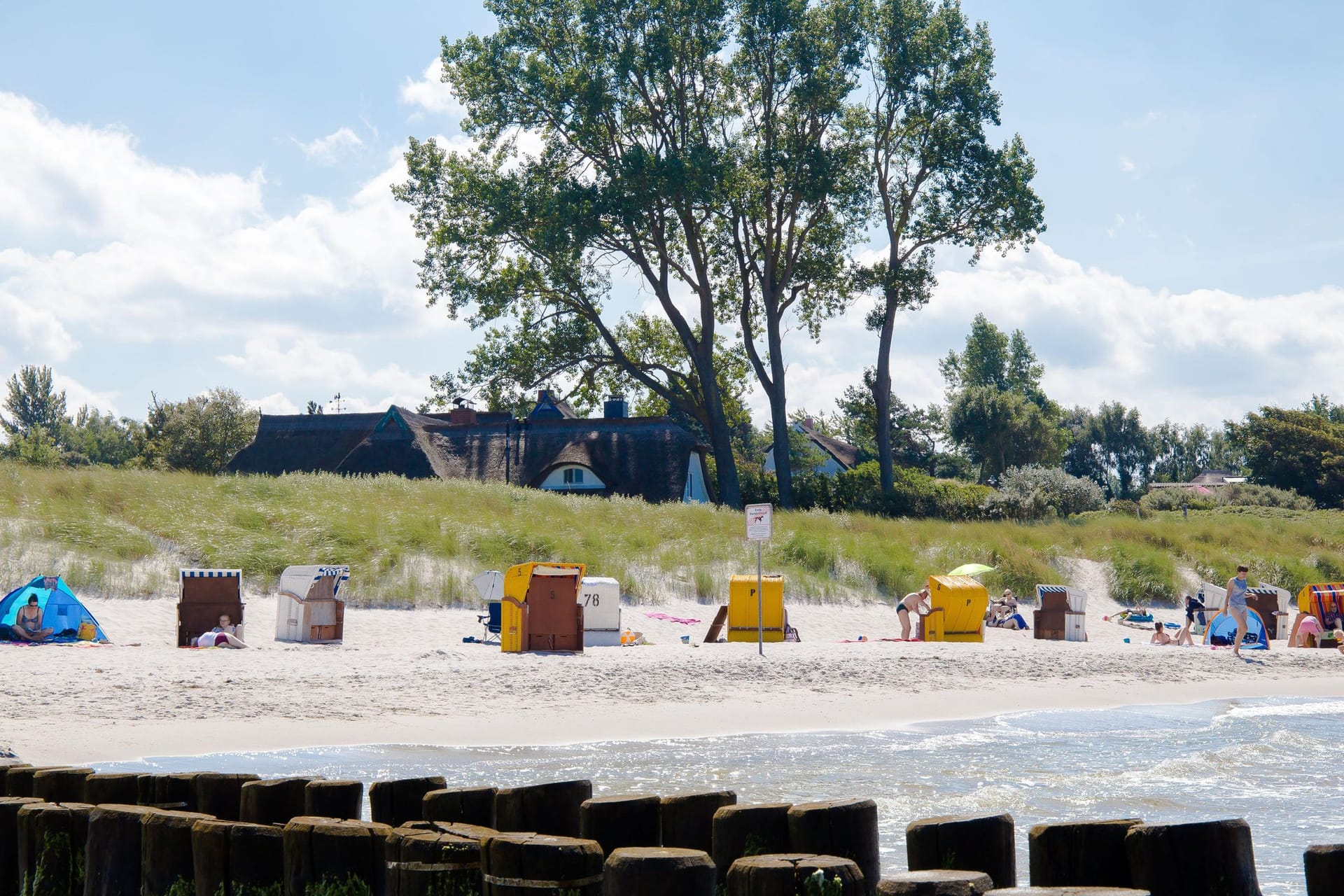 Strand mit Liegen und Sonnenschirmen