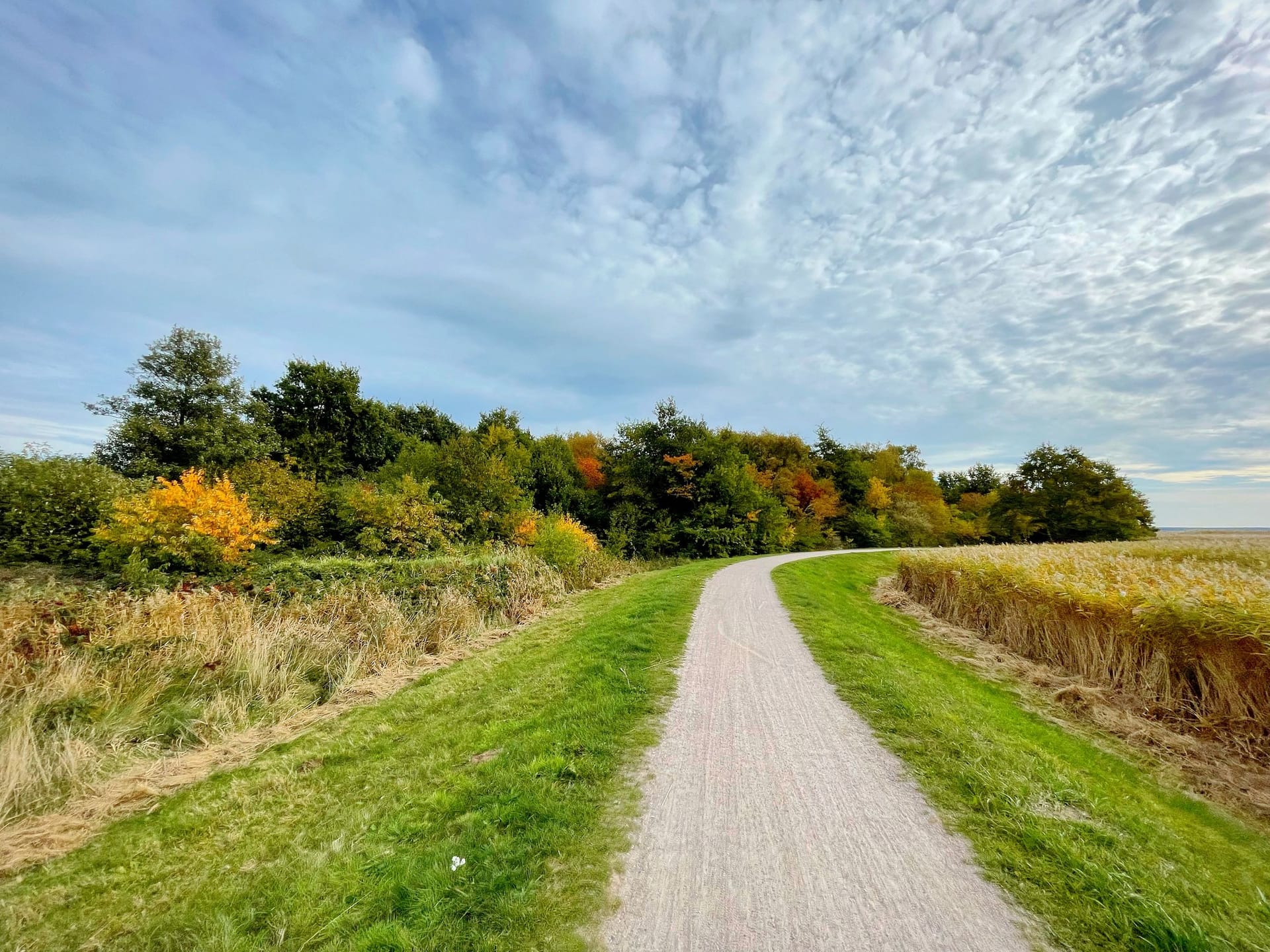 Weg durch herbstliche Landschaft