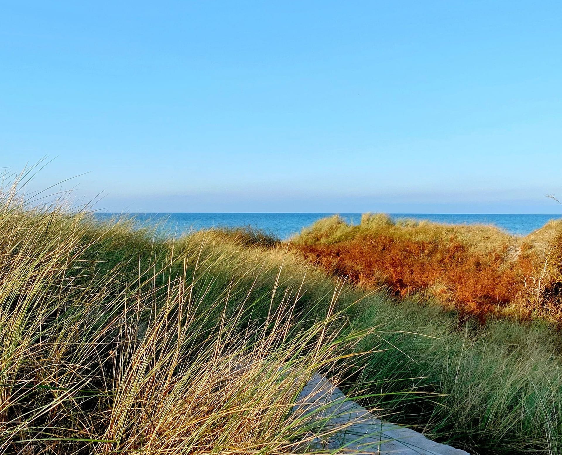 Küstenlandschaft mit Dünen und Meer