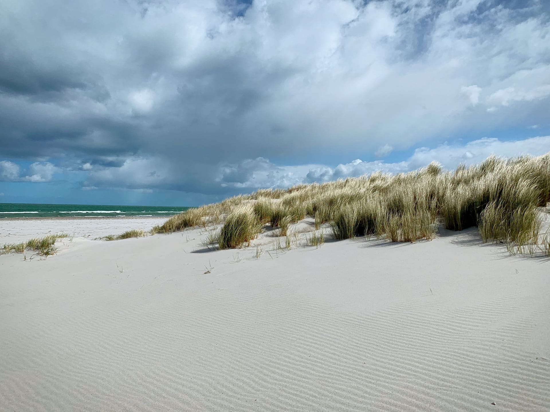 Sandstrand mit Dünengras und Meer