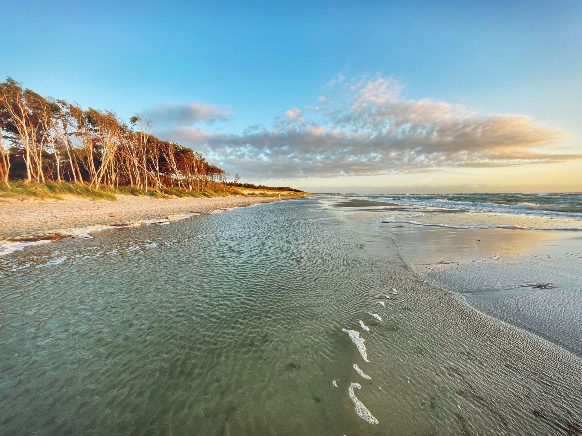 Schöner Strand mit Bäumen im Hintergrund