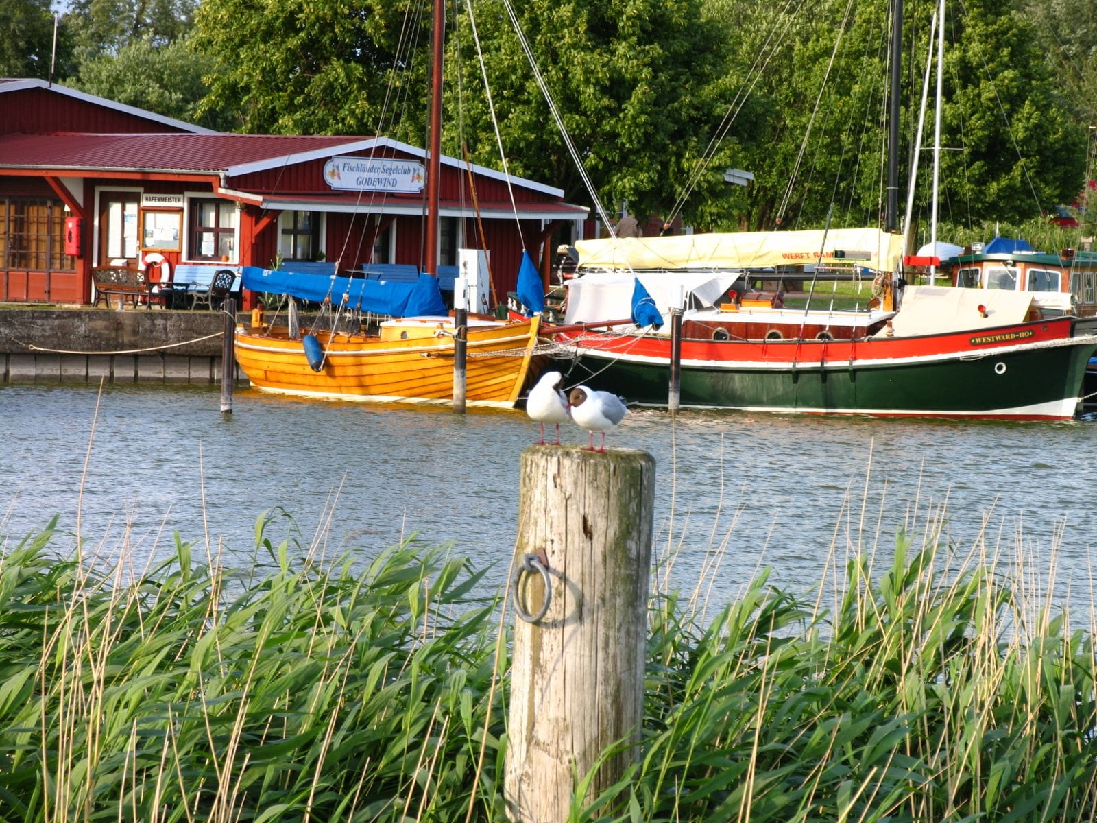 Hafenansicht mit Booten und rotem Gebäude