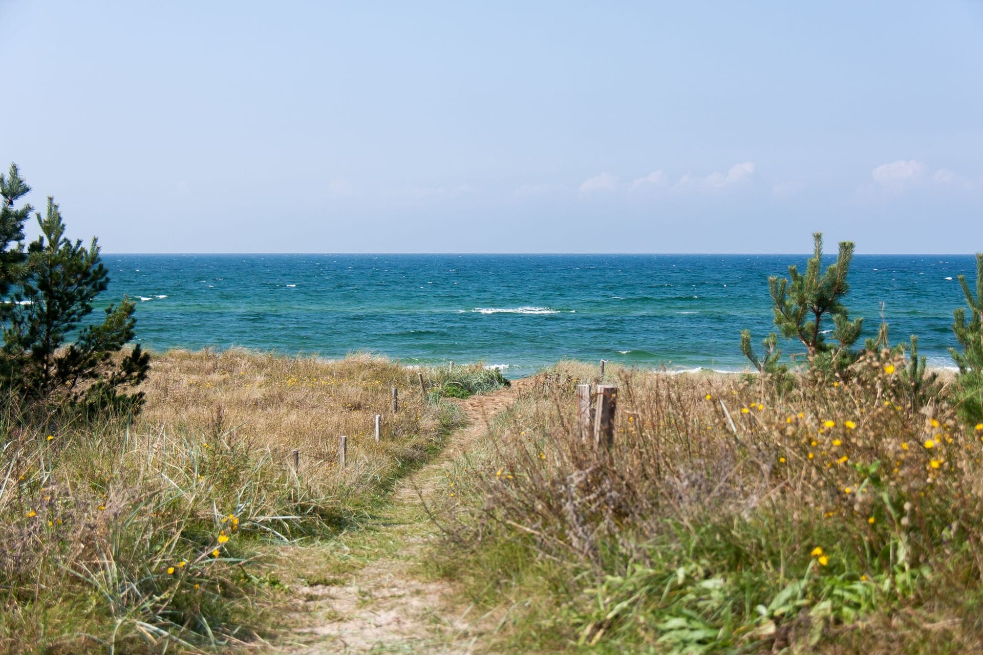 Blick auf den Strand und das Meer