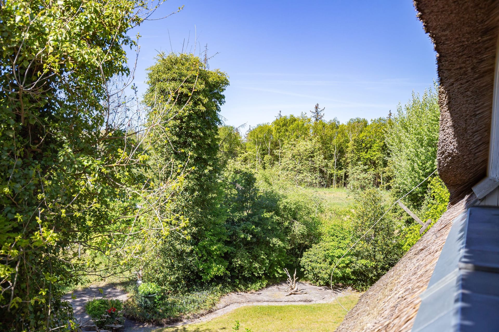 Blick auf den Garten und die Umgebung
