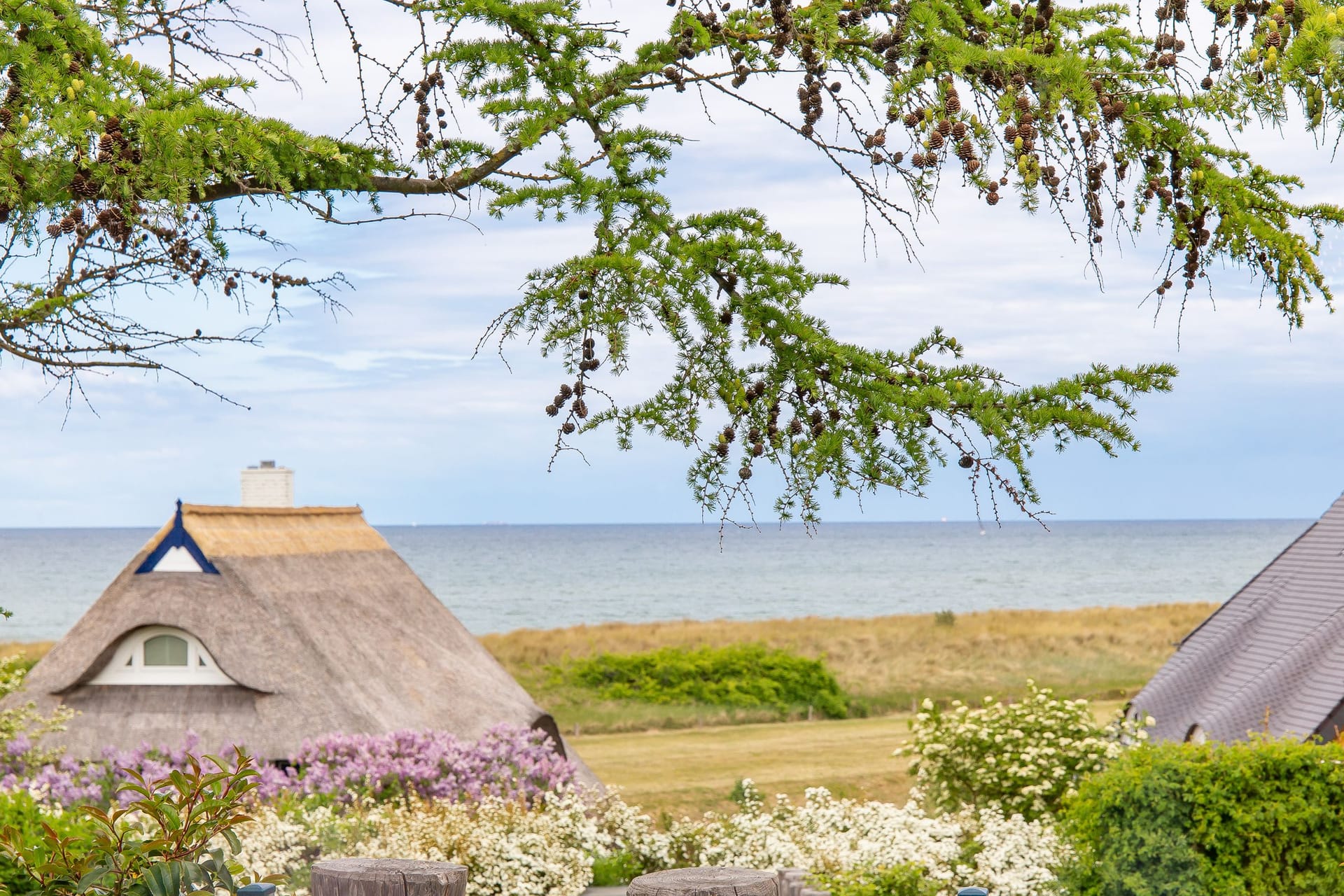 Strandblick zwischen Bäumen und Blumen