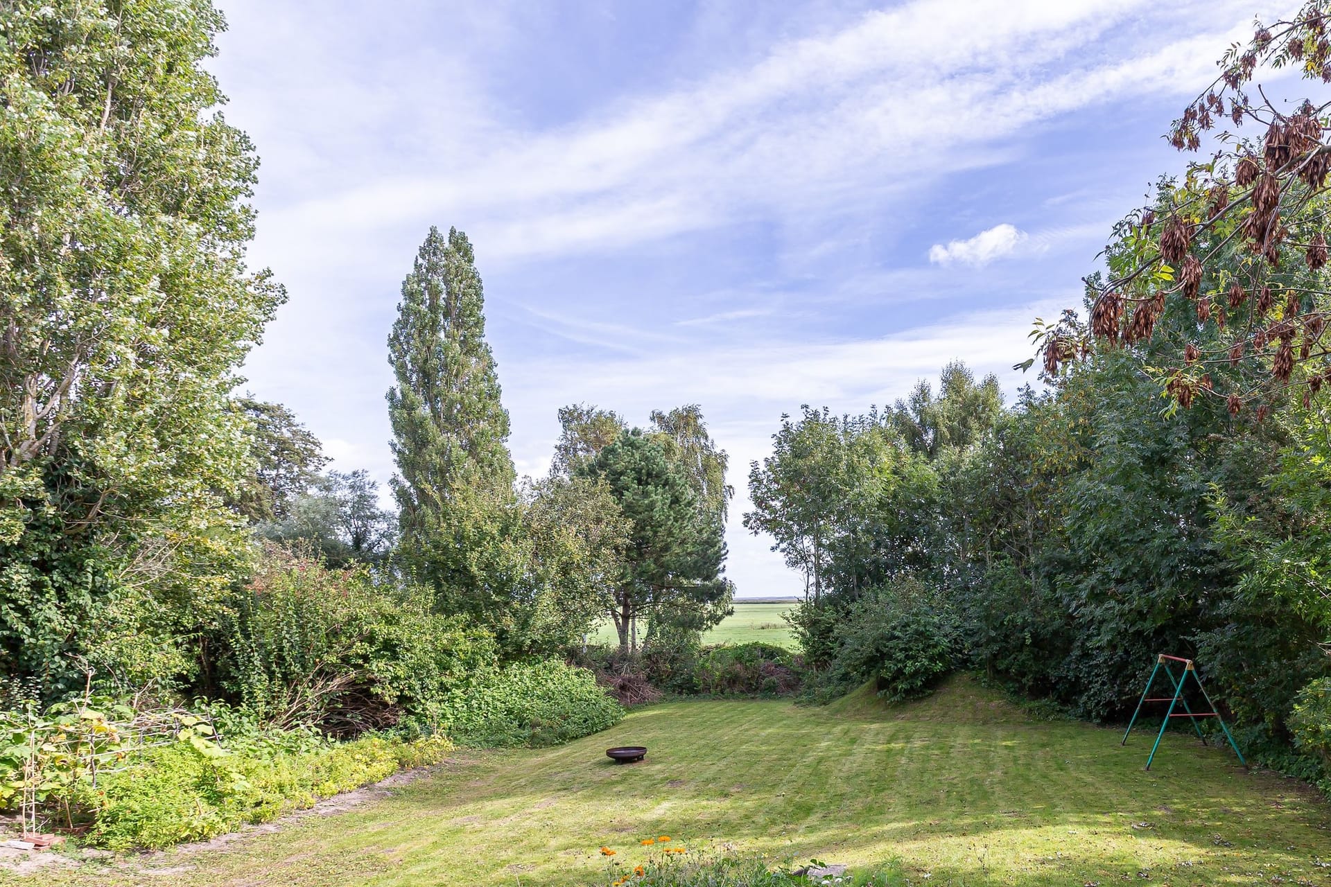 Gartenansicht mit Bäumen und Grasfläche
