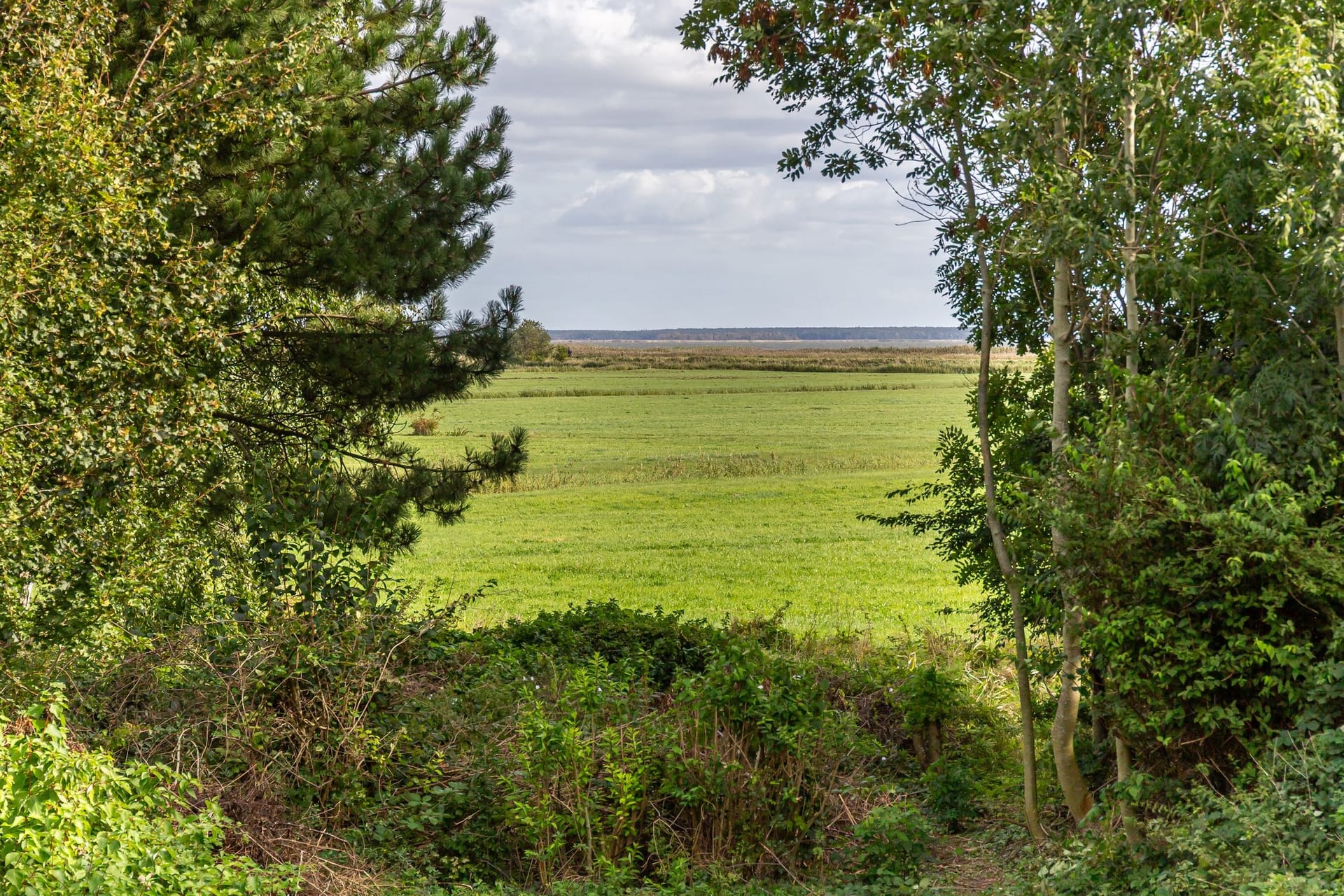Blick auf eine grüne Landschaft