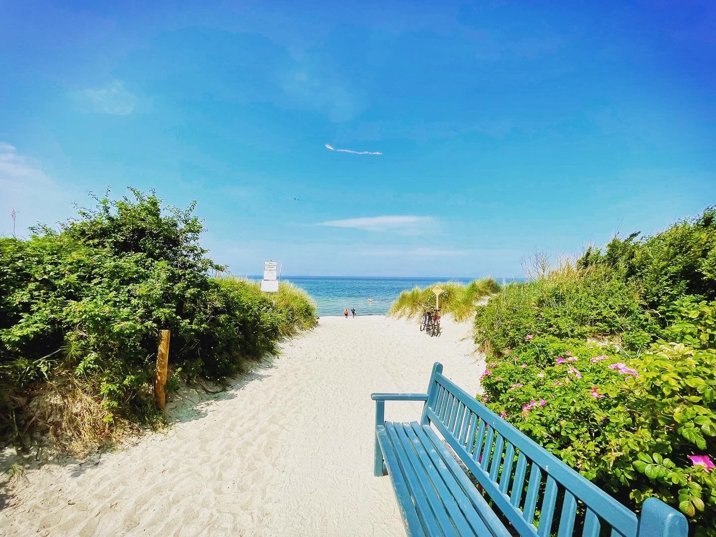 Blick auf den Strand mit einer Bank und Pflanzen