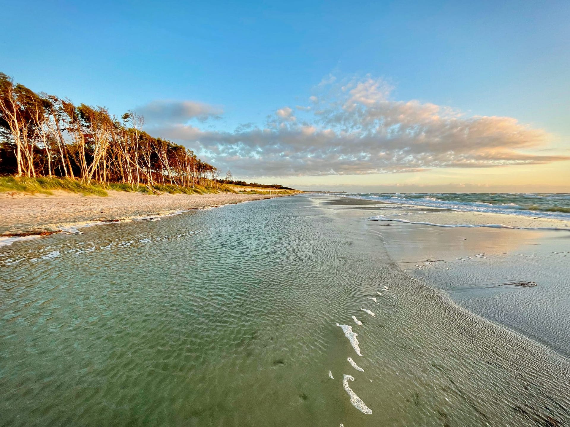 Strandansicht mit Wellen und Bäumen