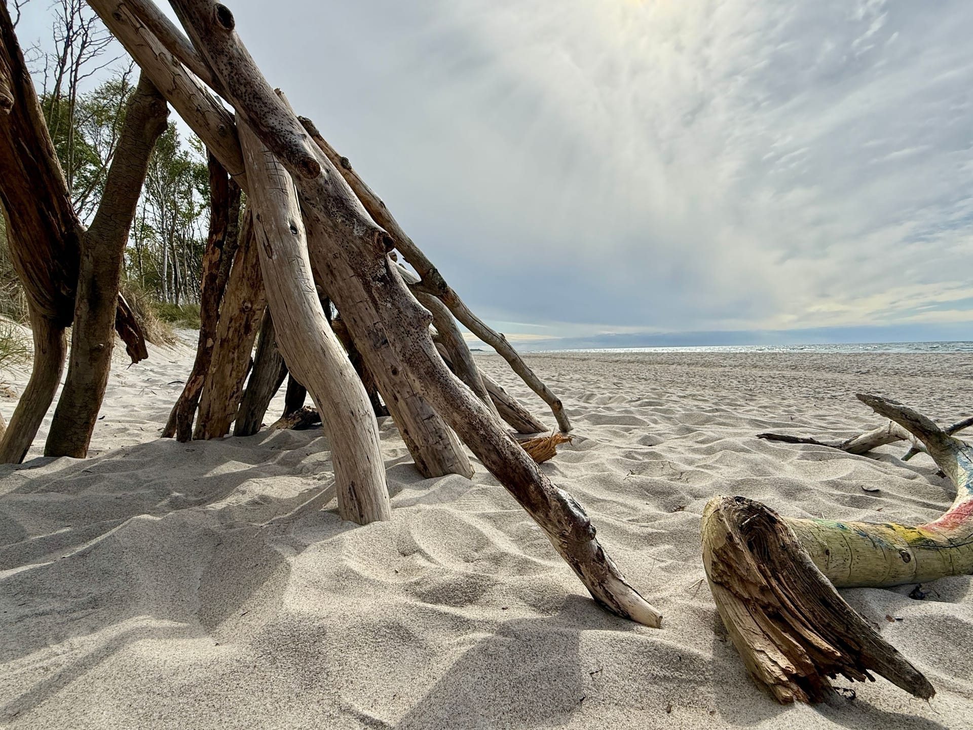 Strand mit Treibholz und Meerblick