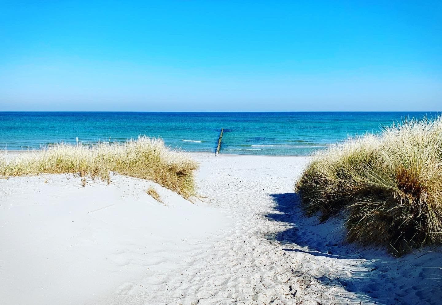 Strand mit Grasdünen und klarem Wasser
