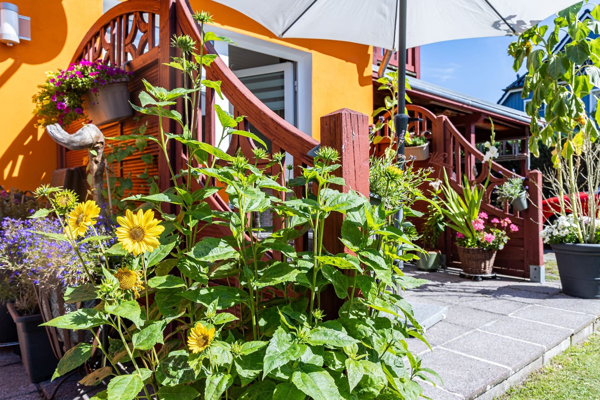 Terrasse mit Blumen und Sonnenschirm
