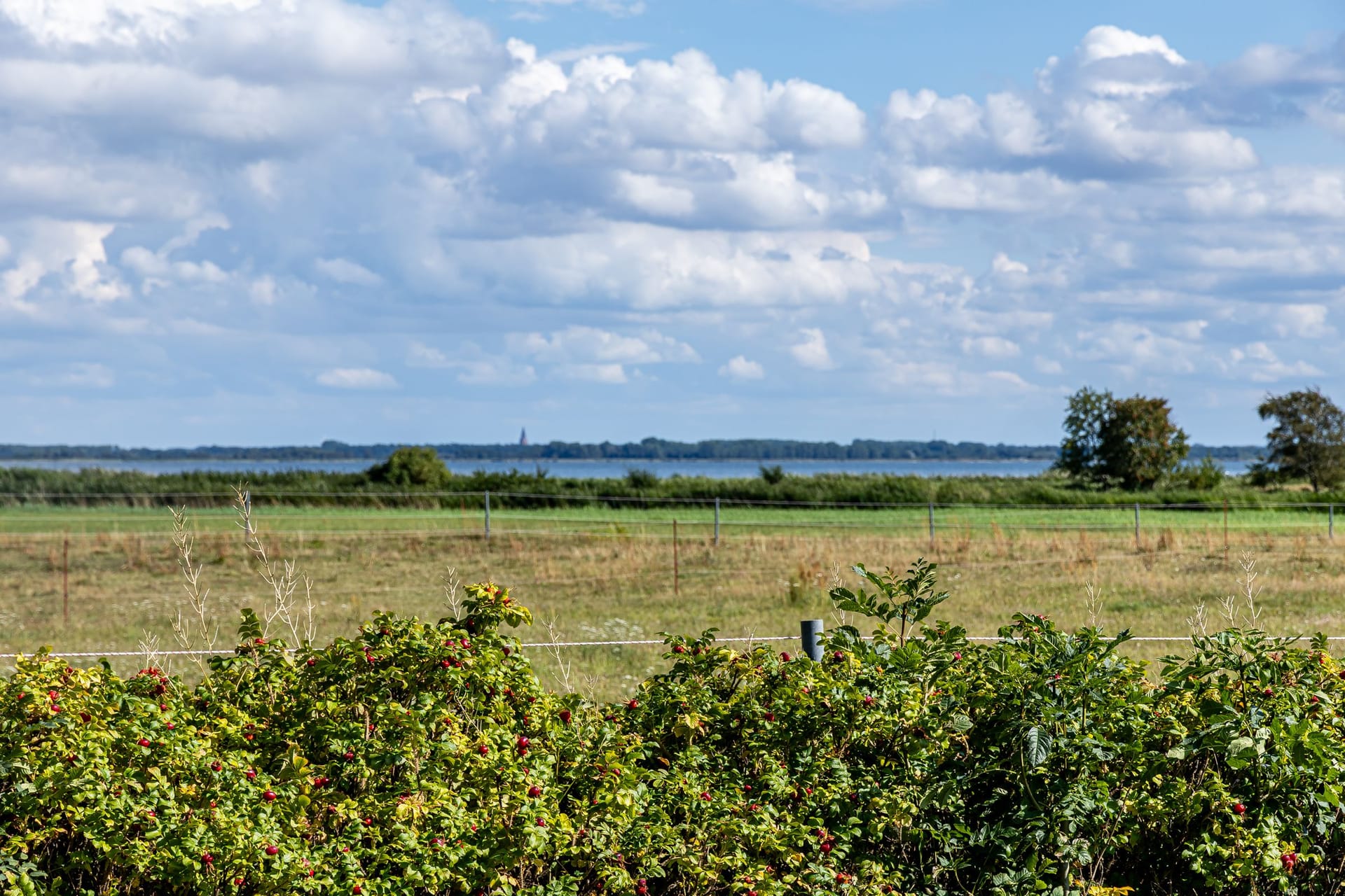 Wiesenlandschaft mit Wasserblick