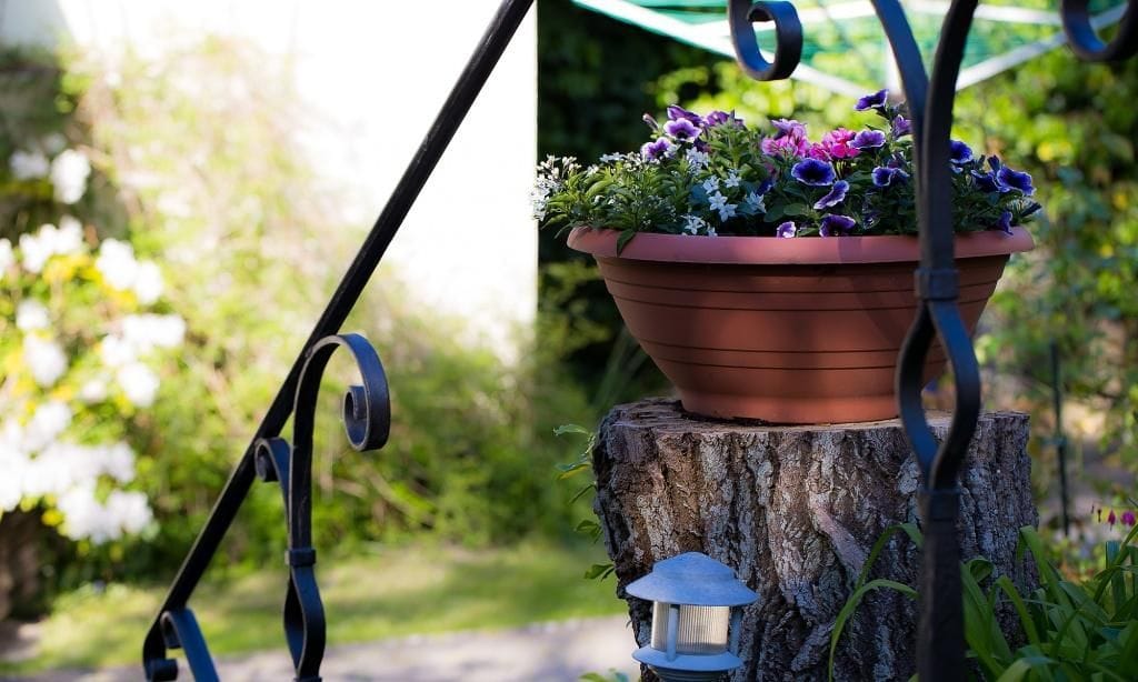 Gartenbereich mit Blumentopf auf Baumstumpf