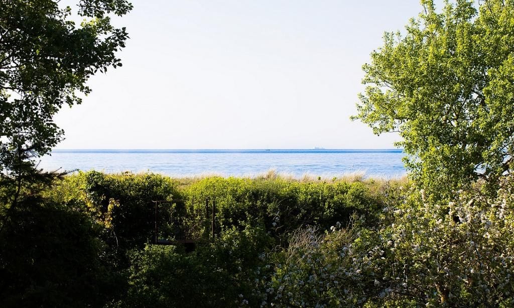 Blick auf das Meer mit üppiger Vegetation