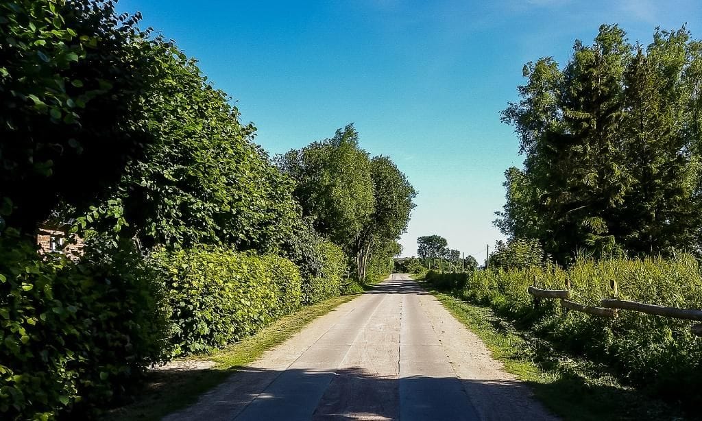 Ländliche Straße mit Bäumen und Büschen