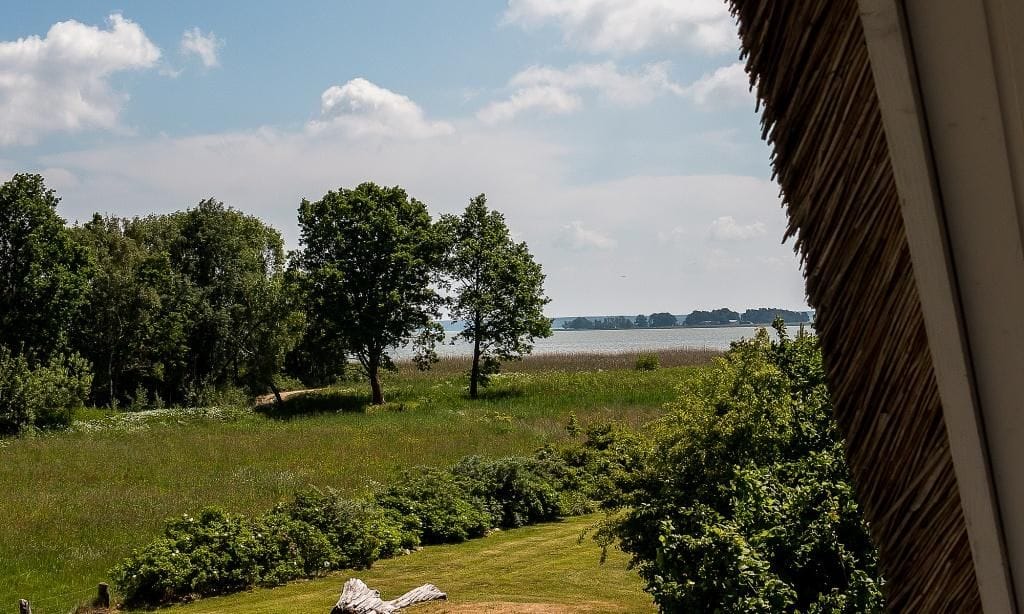 Vogelperspektive auf Wiese und Wasser