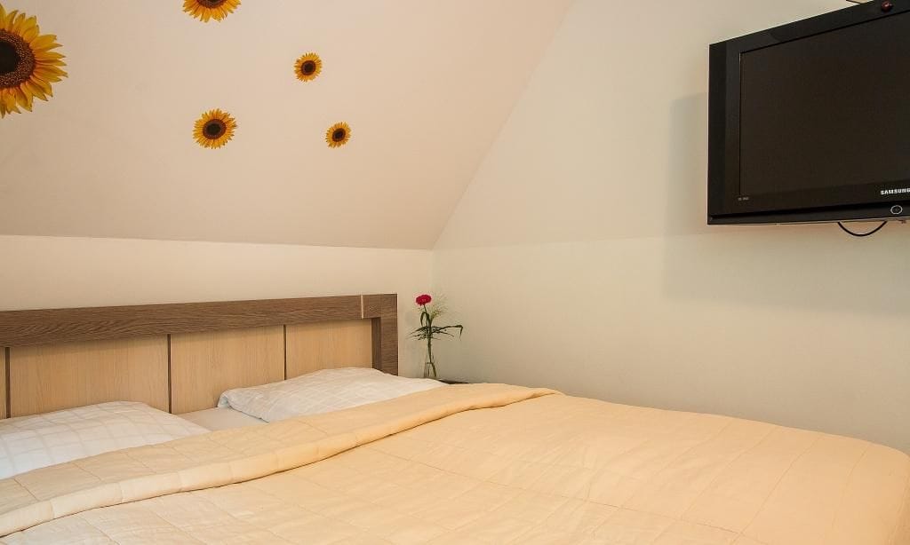 Schlafzimmer mit Doppelbett und Fernseher